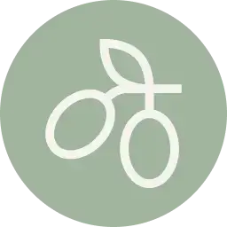 אייקון זית לקטגוריית הזית