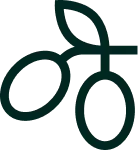 olive icon