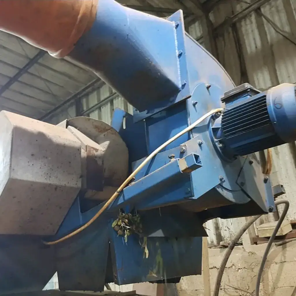 מכונת עיבוד זיתים בבית הבד של משק שספי במהלך הפקת שמן זית