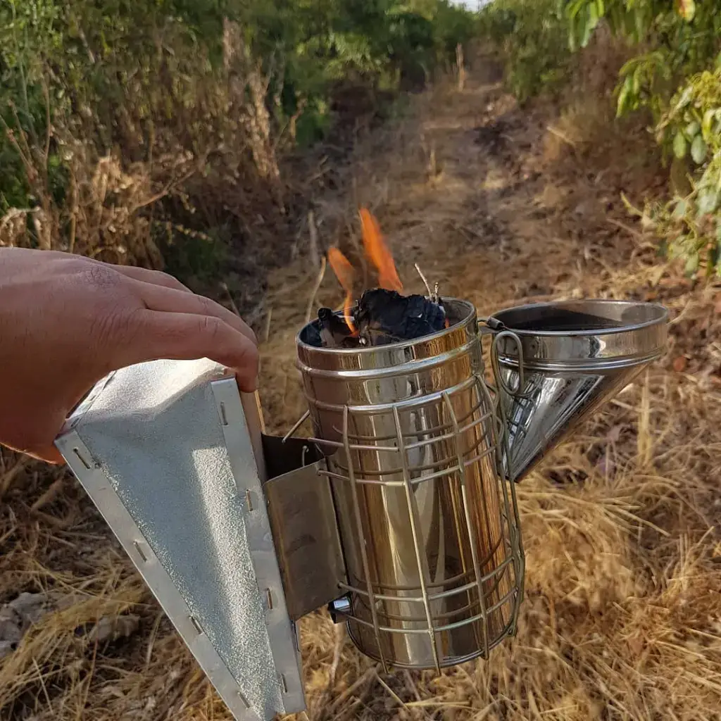 מעשנת דבורים בוערת בשטח הכוורות במשק שספי